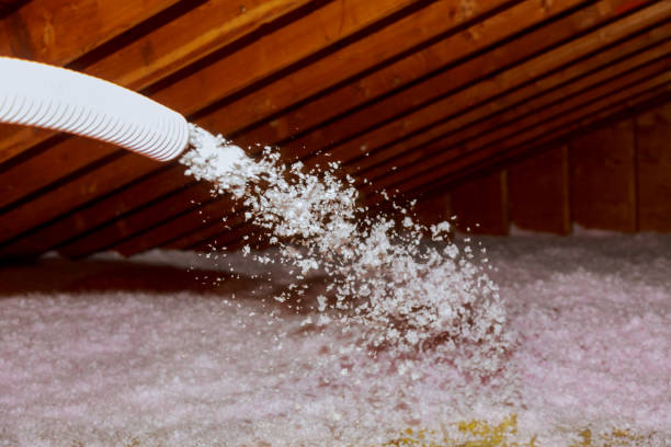 Professional Insulation Contractor in Valley Grande, AL
