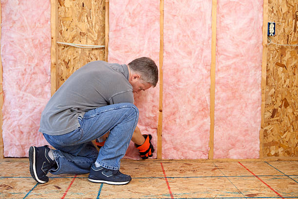 Best DIY Insulation Kits and Guidance in Vley Grande, AL